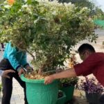 Sabtu Bersih, MTsN 8 Banjar Dukung Penuh Gerakan GOKAS Green Office Kalimantan Selatan Sabtu Bersih, MTsN 8 Banjar Dukung Penuh Gerakan GOKAS Green Office Kalimantan Selatan