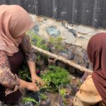 Botol Bekas Berubah Jadi Taman Cantik, Wujud Nyata Semangat Green School MTsN 8 Banjar Botol Bekas Berubah Jadi Taman Cantik, Wujud Nyata Semangat Green School MTsN 8 Banjar